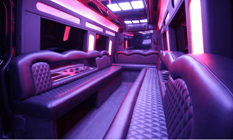 Jacksonville 14 Passenger Sprinter Bus Interior